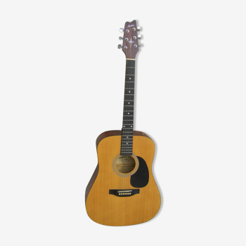 Montana Guitar