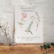 Affiche botanique tisane
