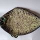 Ceramic dish by Marius Giuge Vallauris