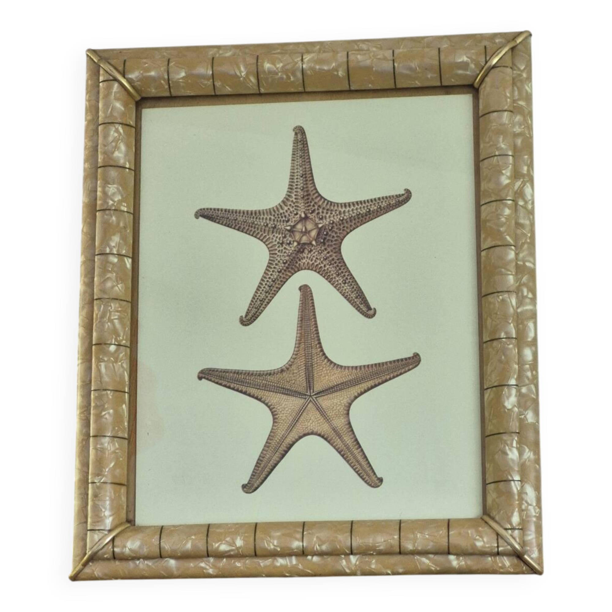 Vintage illustration