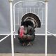 19th century metal bed encaged bird 200x120