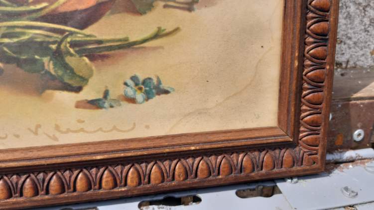 Myosotis flower painting