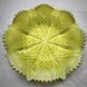 Plat "Lady chippendale" de Georges Davidson ouraline