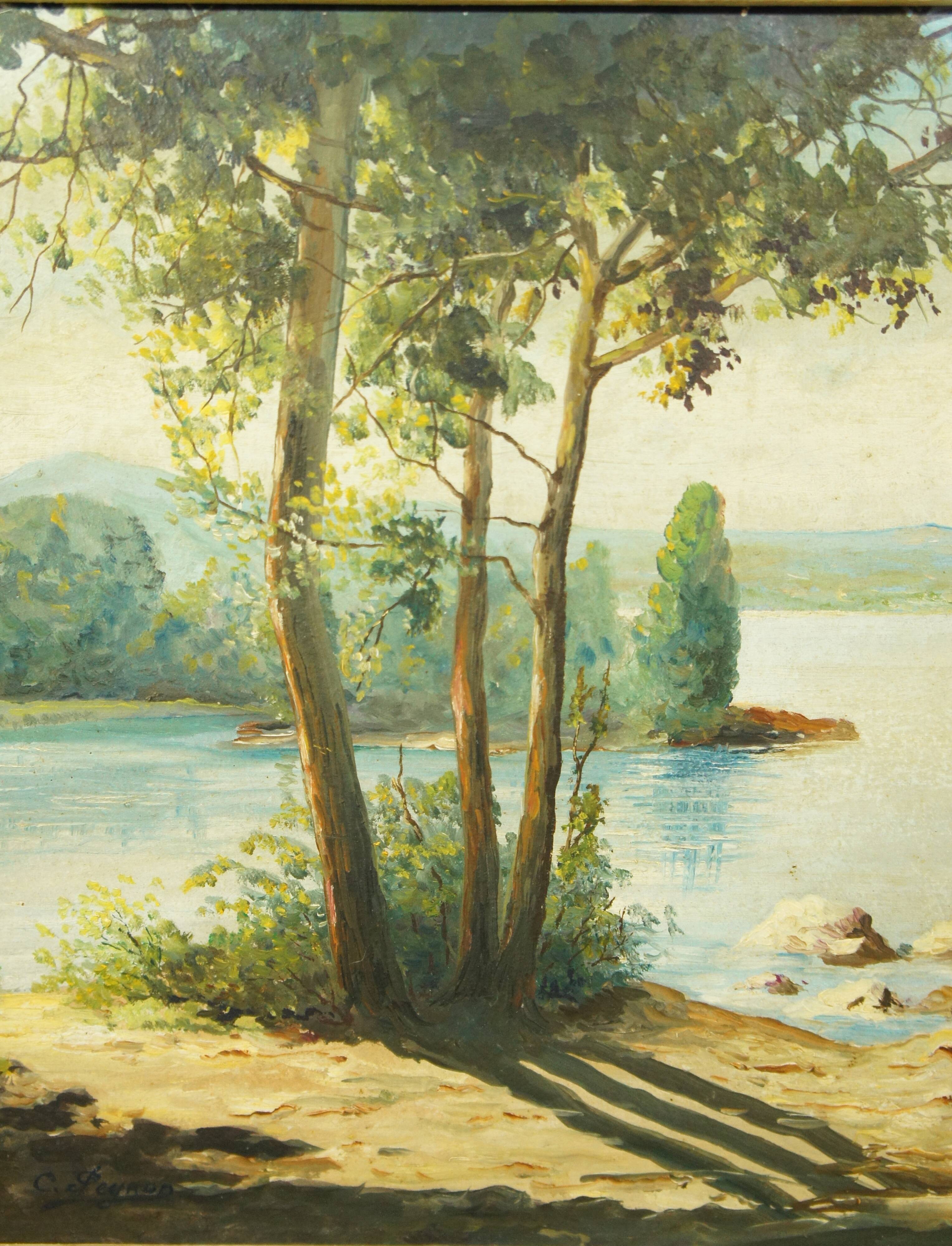 Paysage huile sur bois encadrée C.Peyron