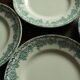Lot 8 flat plates Terre de Fert vert Fleurs Argenton Saint Amand