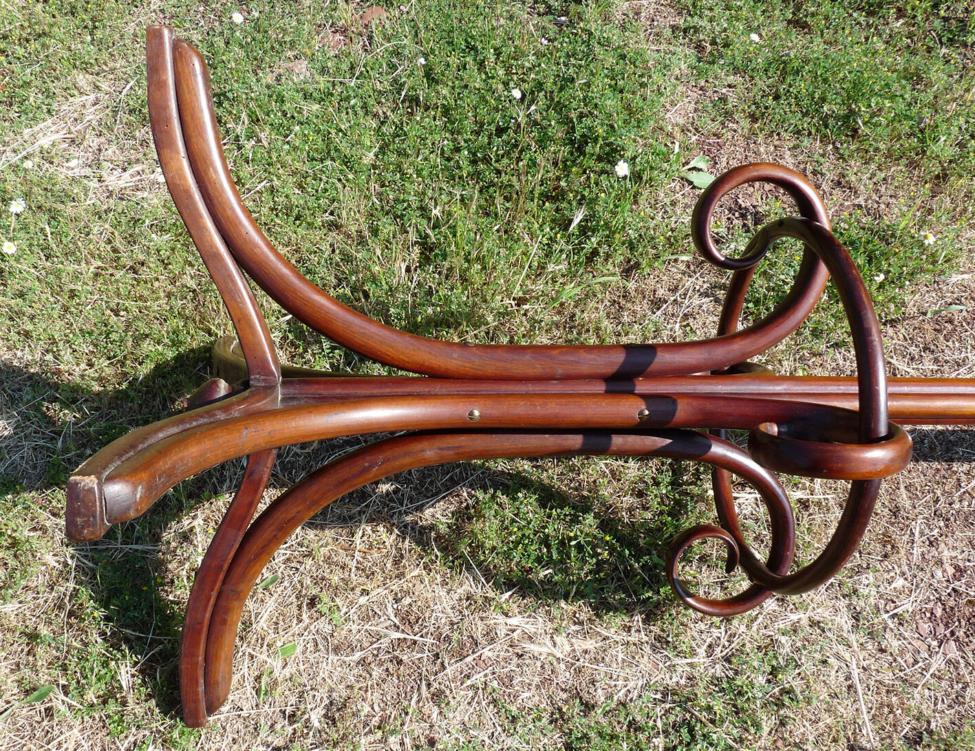 Coat rack Parrot Thonet bentwood 1930