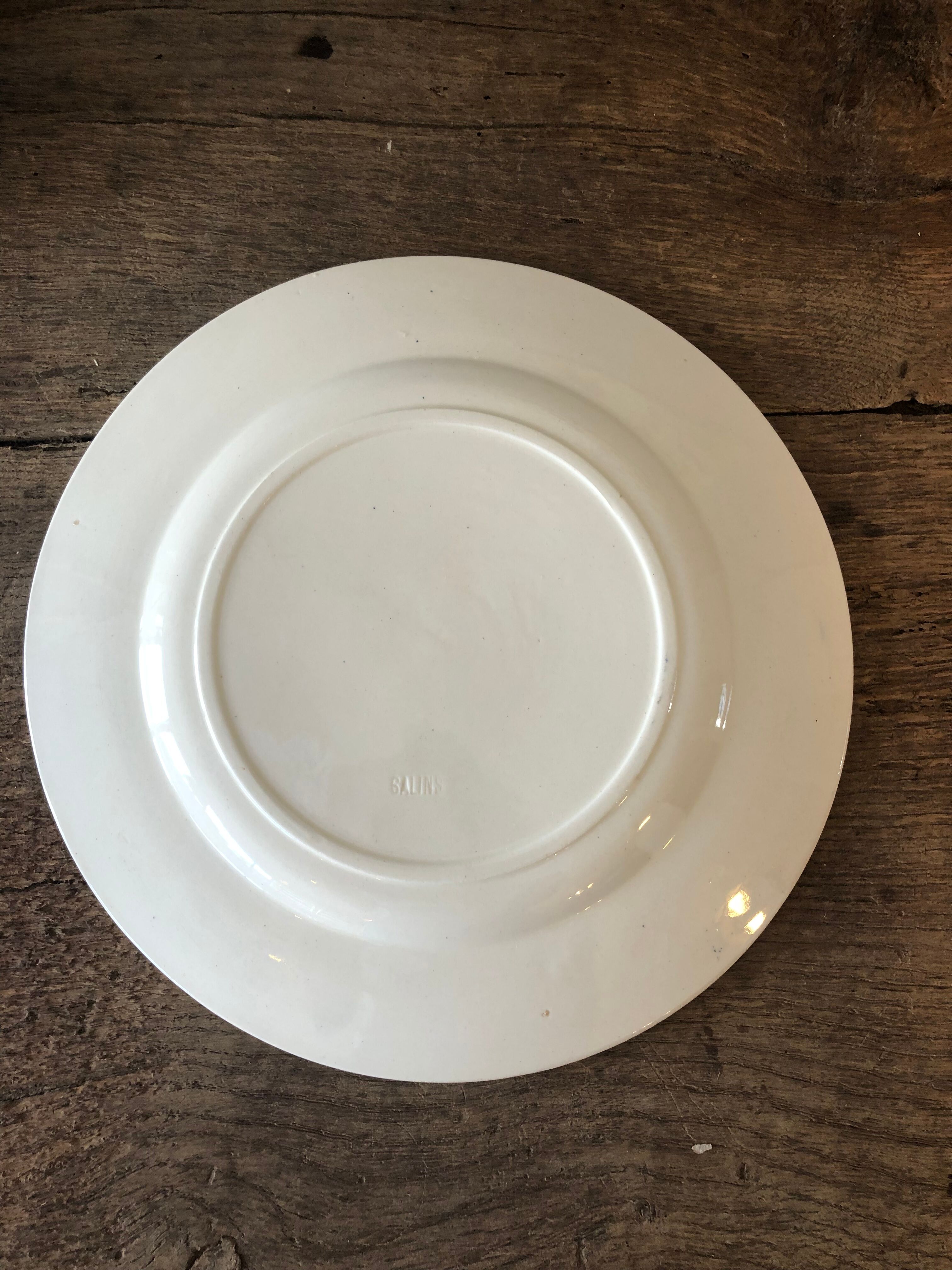 16 flat plates in Salins earthenware