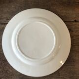16 flat plates in Salins earthenware