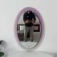 Vintage oval plexiglass mirror from the 70s by Harvey Guzzini