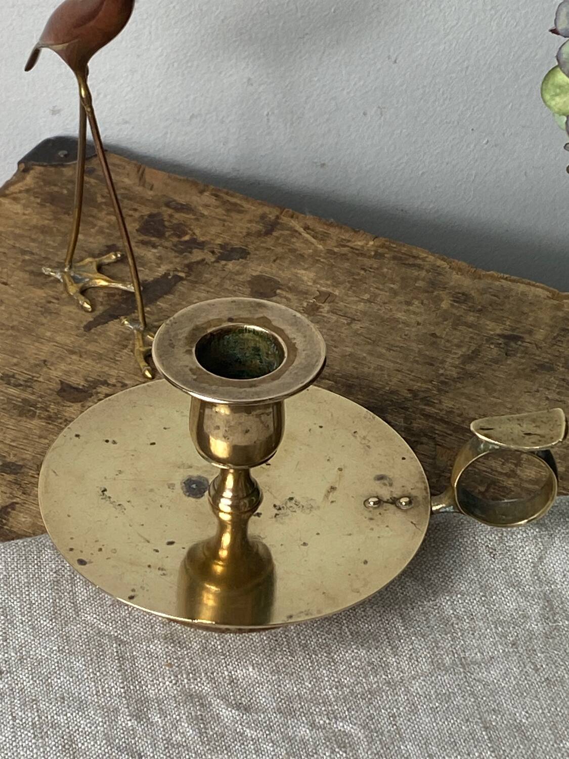 Cellar rat candle holder with brass ring