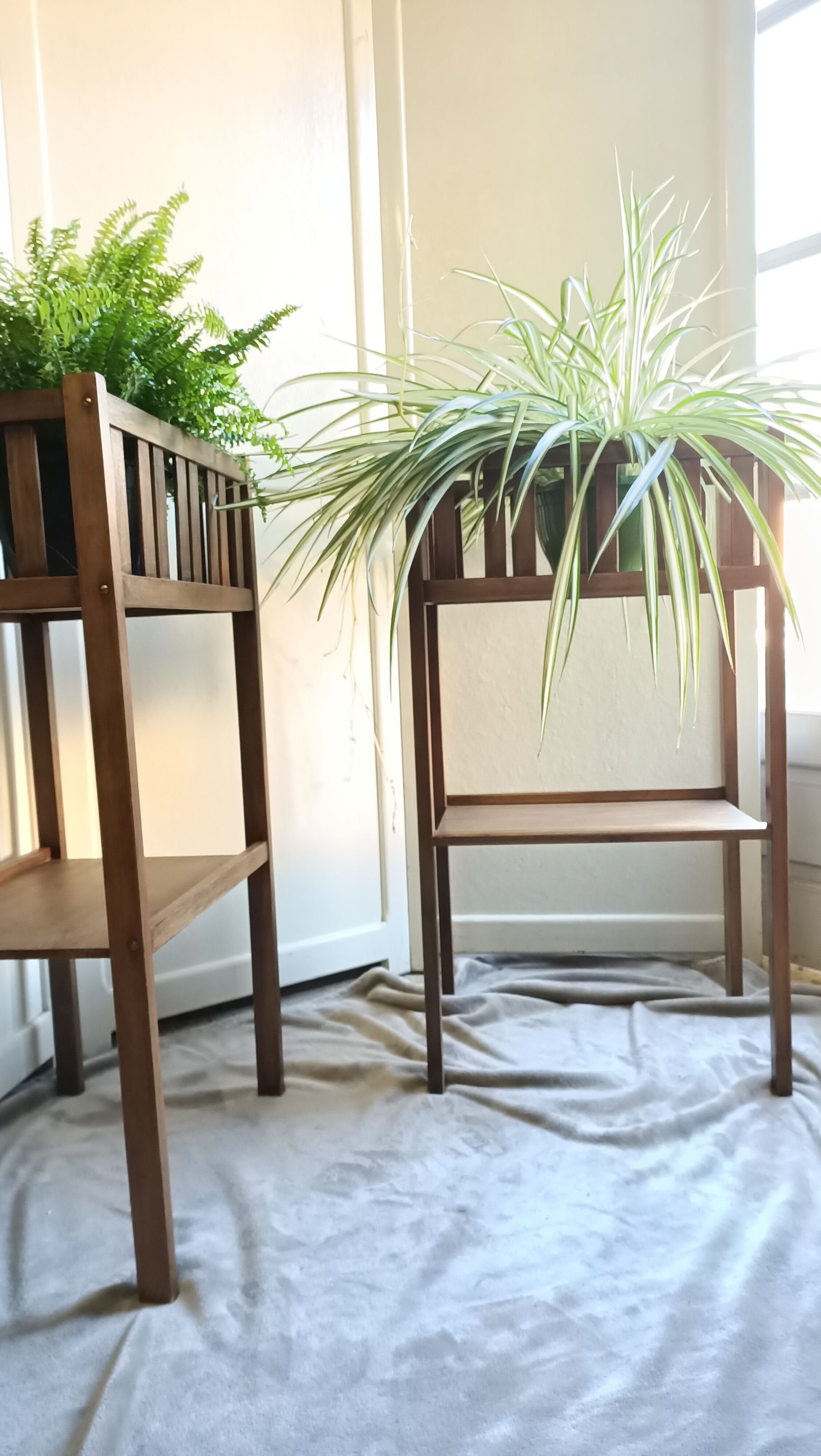 Pair of indoor planters