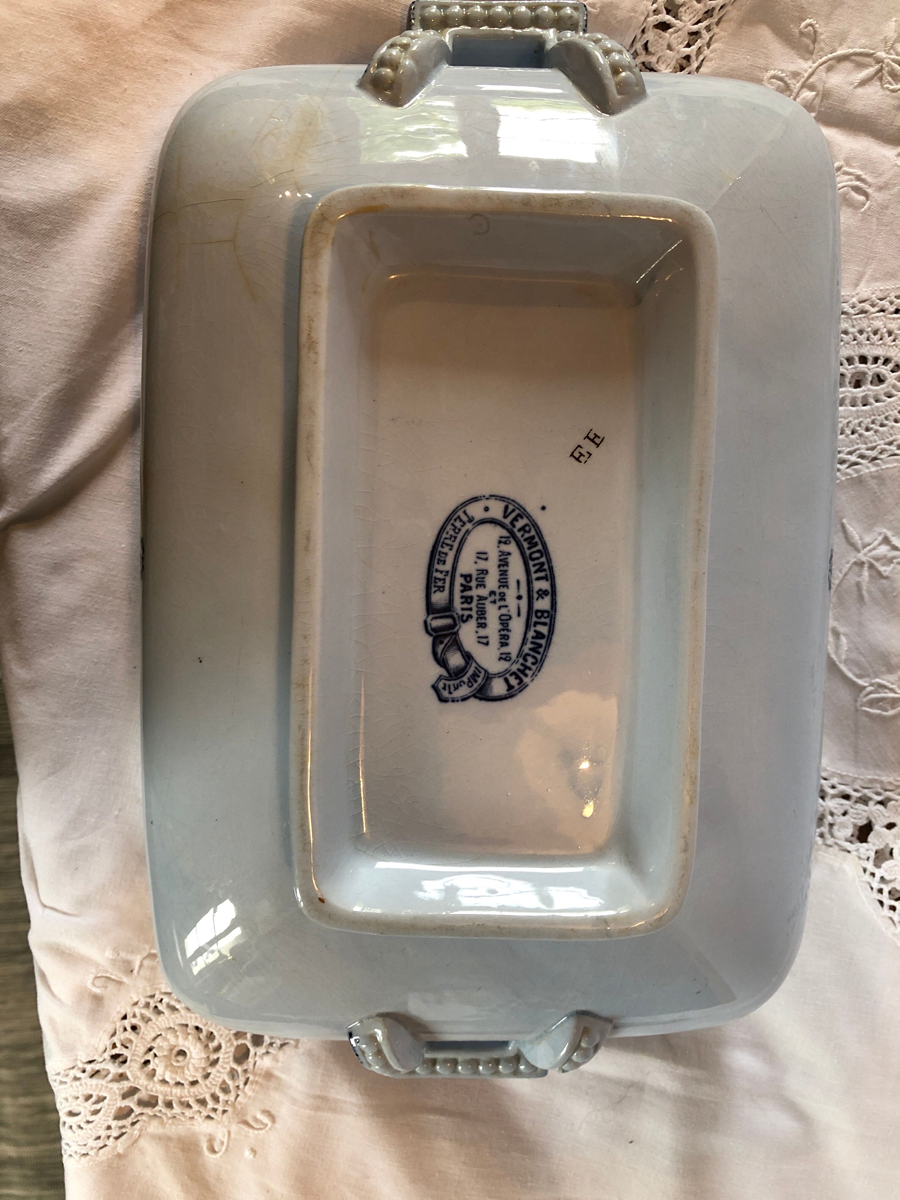 Blue vegetable in iron Earth