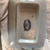 Blue vegetable in iron Earth