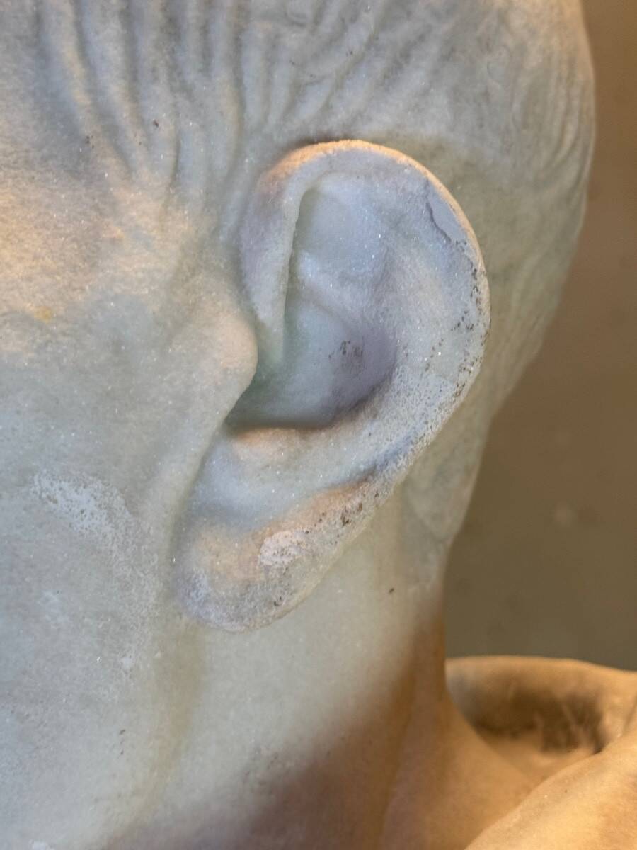 Bust of Emperor Galba, white Carrara marble, 18th century.