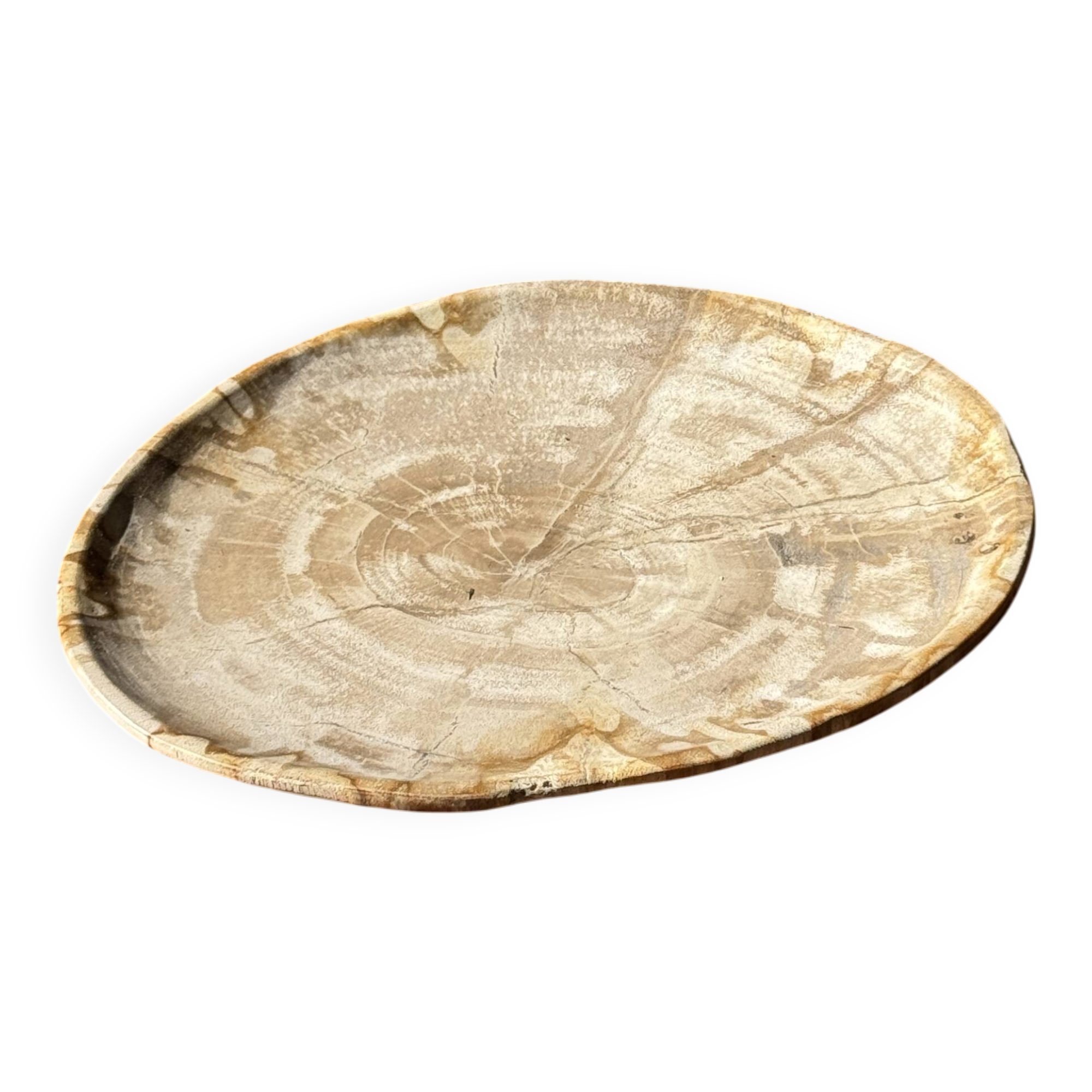Small oval beige petrified wood dish or tray with speckled edges.