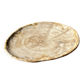 Petit vide poche ou plat en bois pétrifié ovale beige cernes moucheté