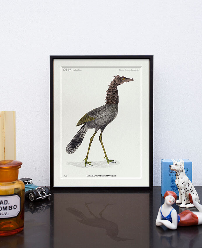 Lithograph chimeric engraving animal - the cariapocampus