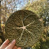 Cabbage leaf plate