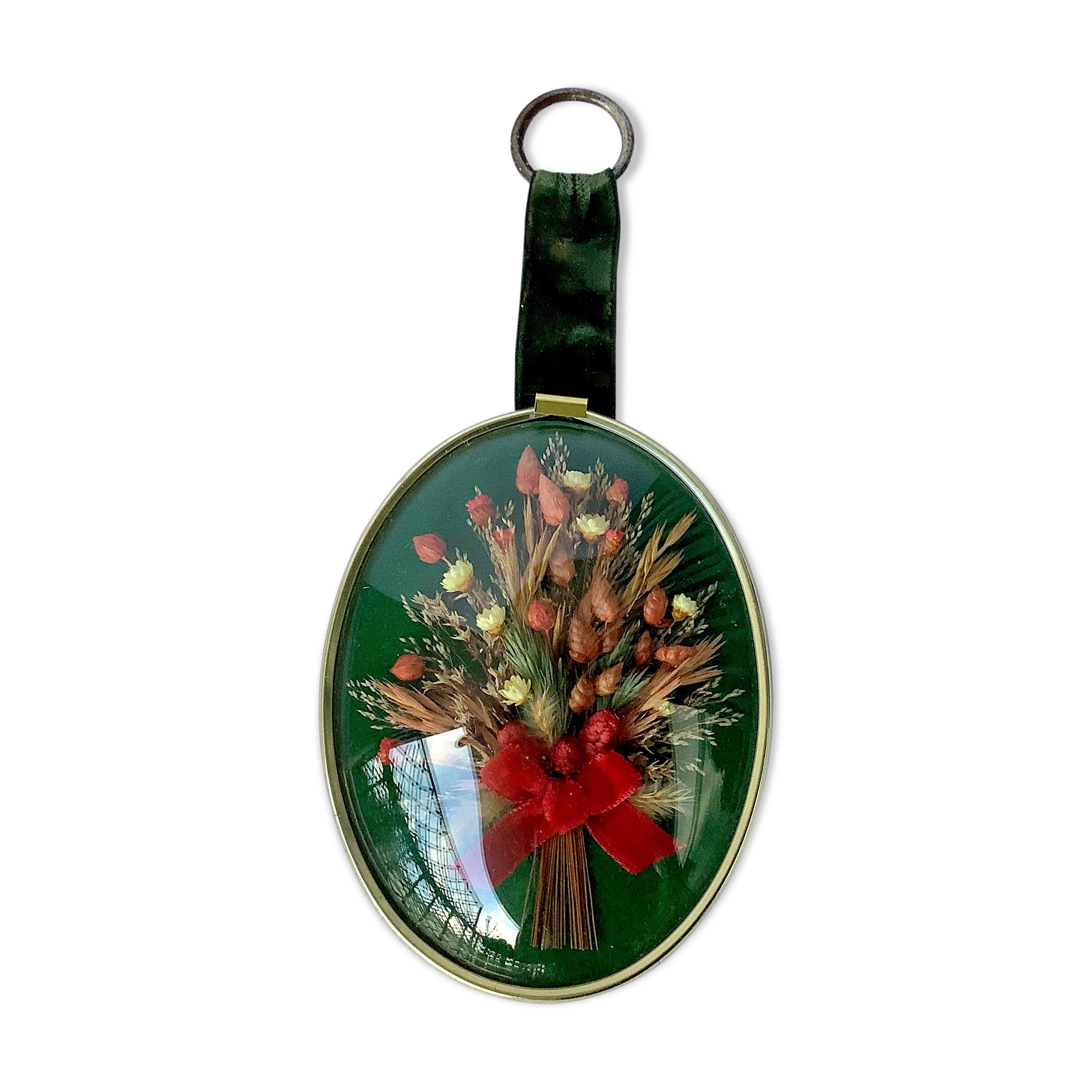 Frame dried flowers oval domed glass