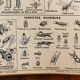 Hatier educational poster 1950