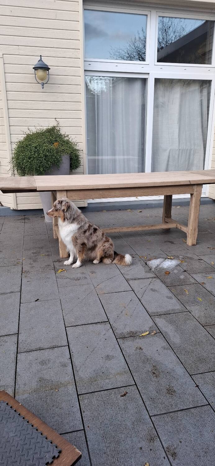 Farmhouse table with oak extensions 3m