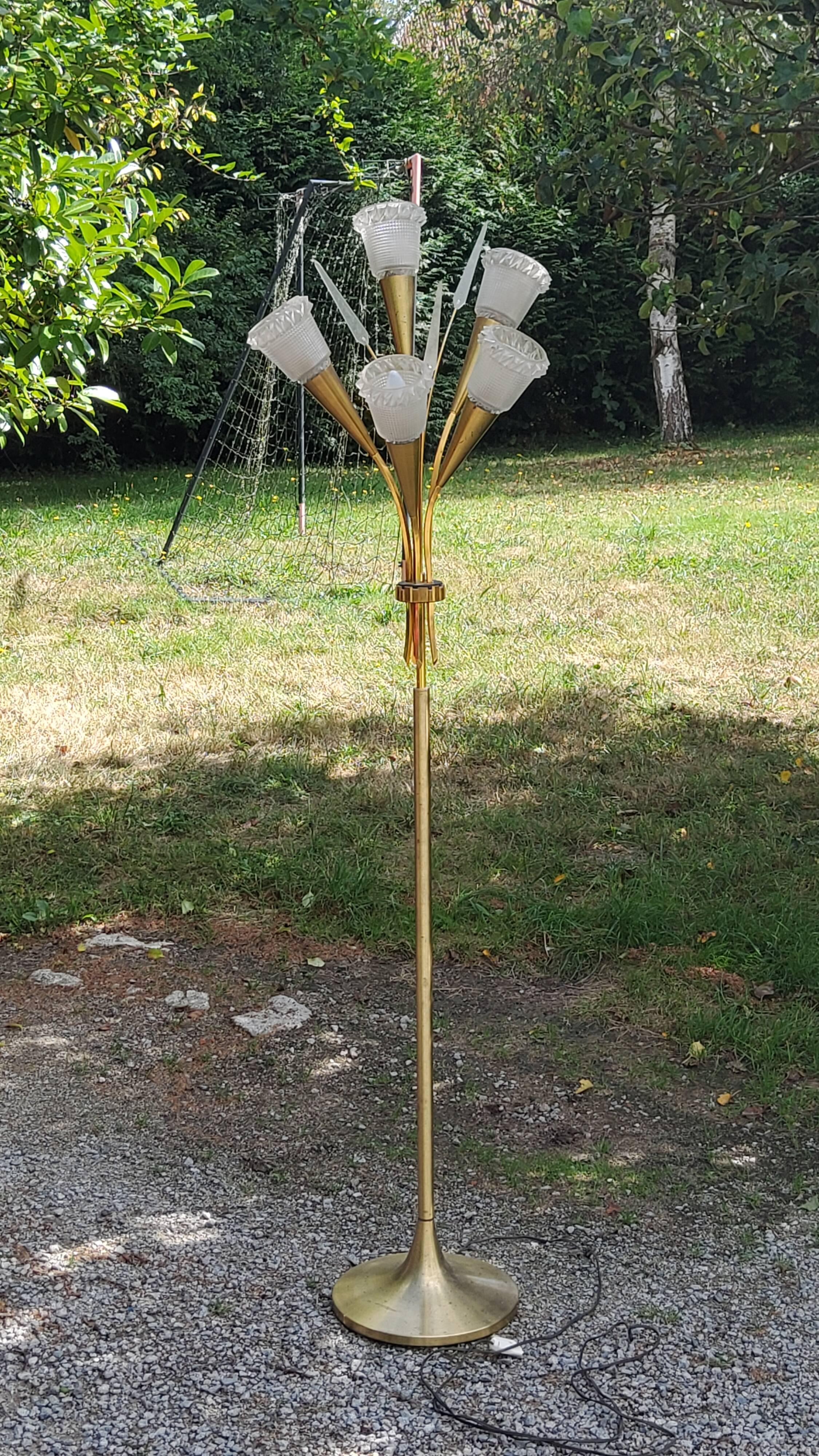 Vintage floor lamp in gilded brass with 5 glass tulips from the 50s