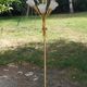 Vintage floor lamp in gilded brass with 5 glass tulips from the 50s