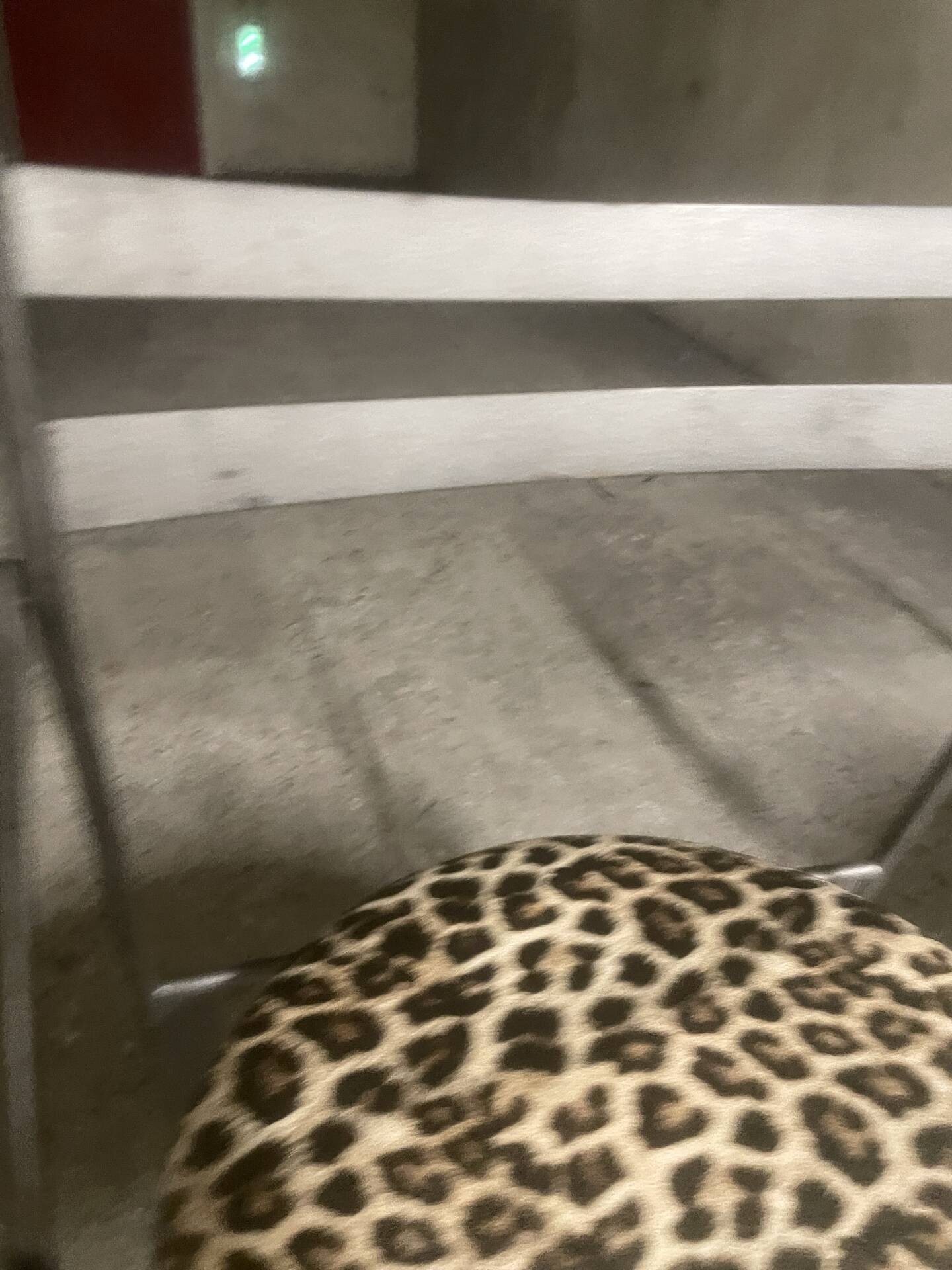Pair of folding chairs from the 80s with leopard print seats.