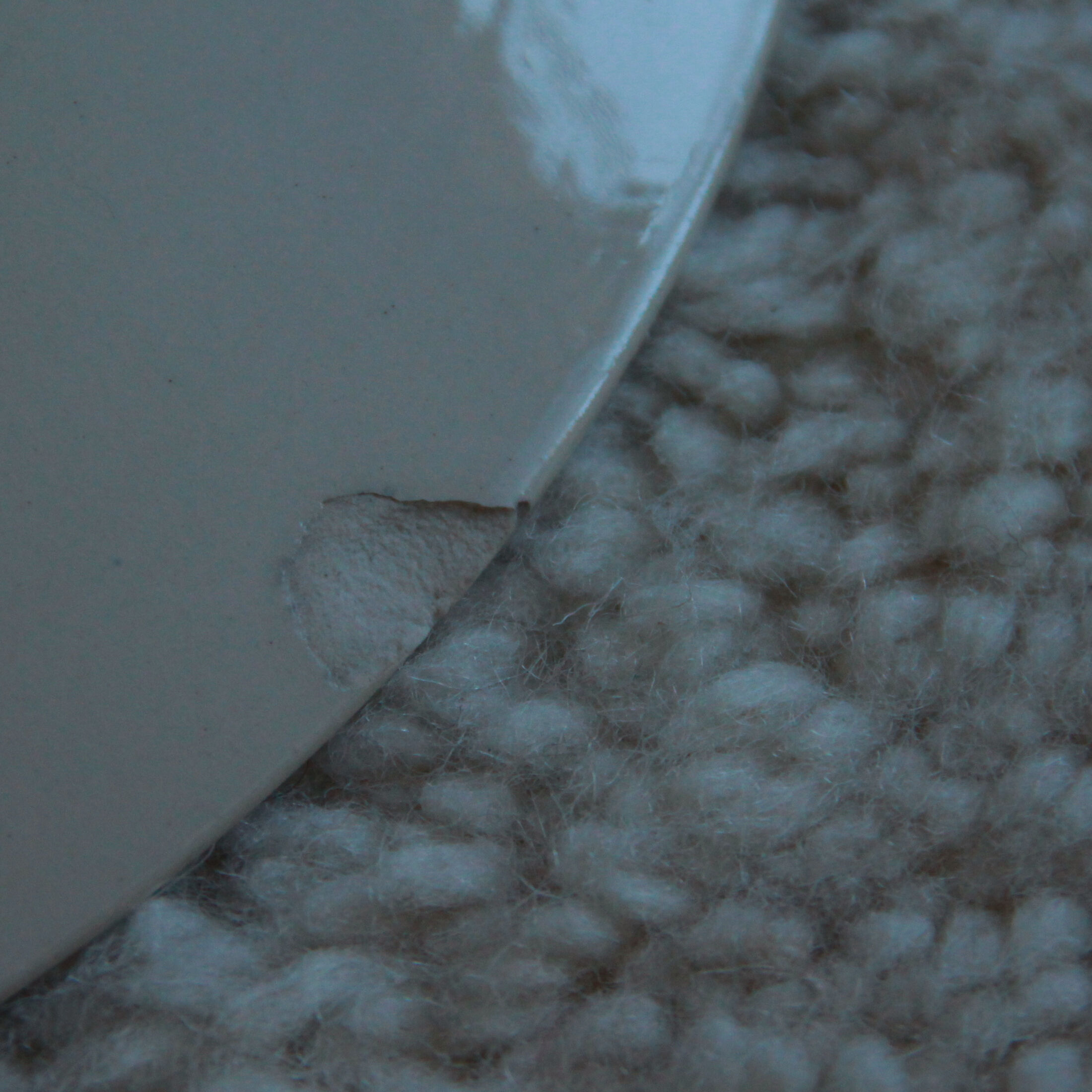 Plate high old earthenware C and U Sarreguemines model Molière blue