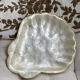 Vide poche coquille nacre et laiton