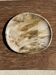 Petrified wood bowl or dish D27x24 -3319