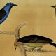 Planche Ornithologique originale " Pitpit bleu - Roitelet - Roitelet mésange - &c... " Buffon 1836