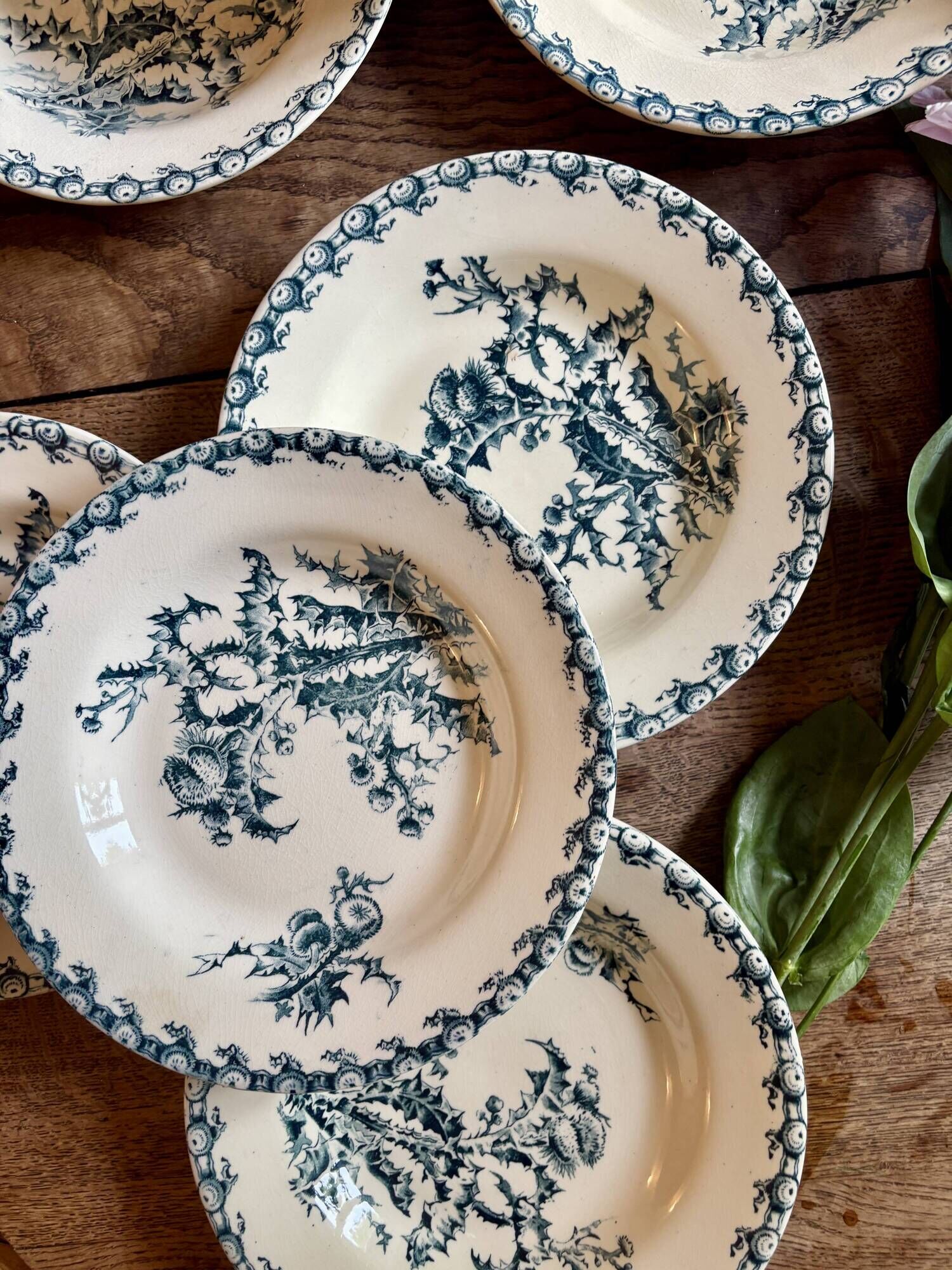 Set of 8 antique deep plates in ironstone, Chardons de Gien