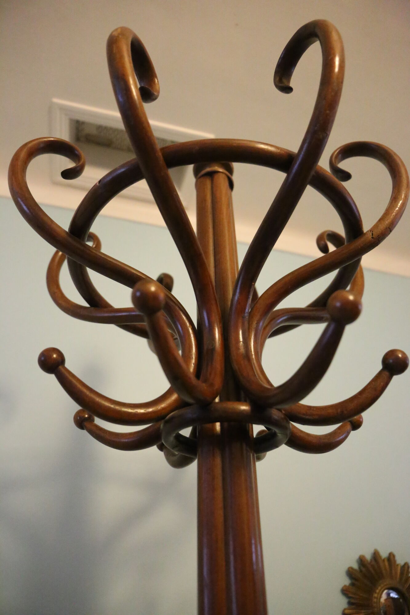 Thonet parrot coat holder