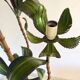 Vintage palm leaf lampposts