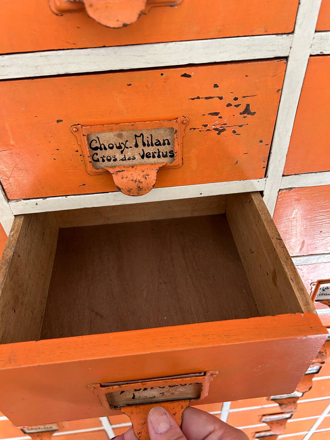 Seed trade furniture