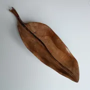 Falcon olive wood fruit bowl spain 1960