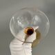 Set of 41 antique glasses with amber stems - water, wine, liqueur, champagne cups.