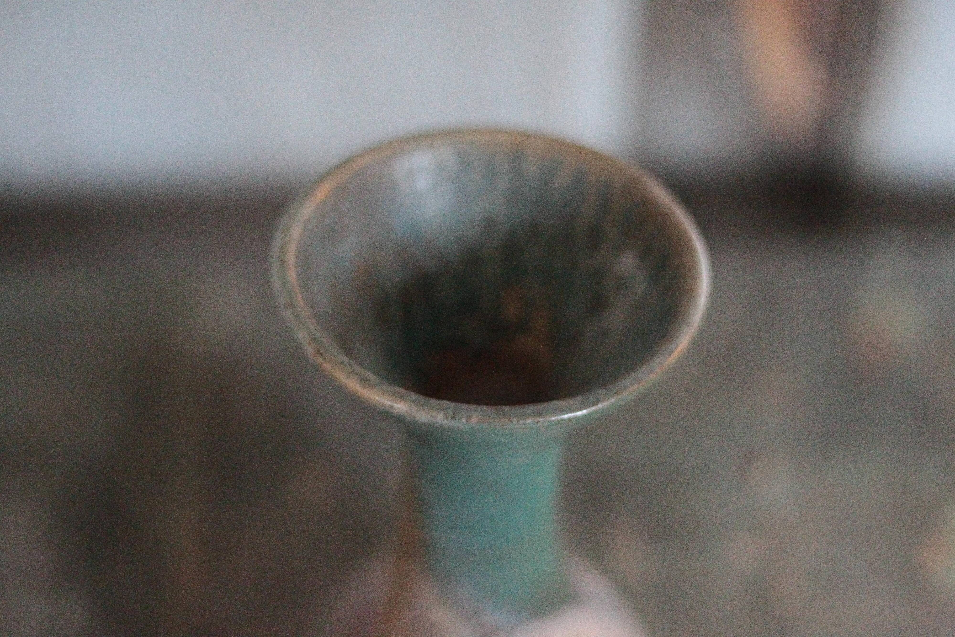 Taxidermy wild boar head, wild boar, hunting trophy, wall decoration.