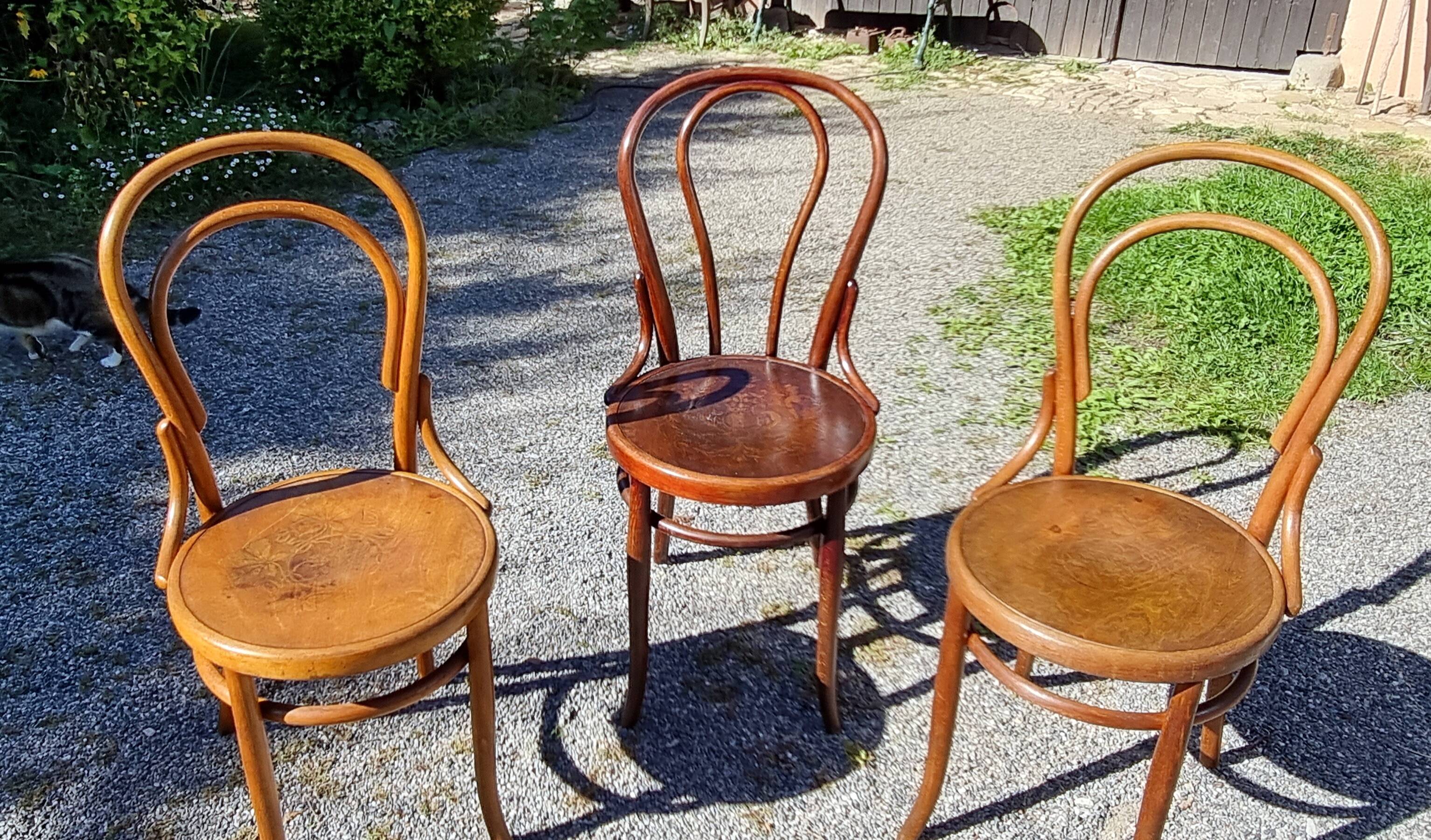 6 Thonet Fischel bistro chairs and others in curved wood from the early 20th century