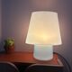 Lampe flore verre opaline Habitat 1990