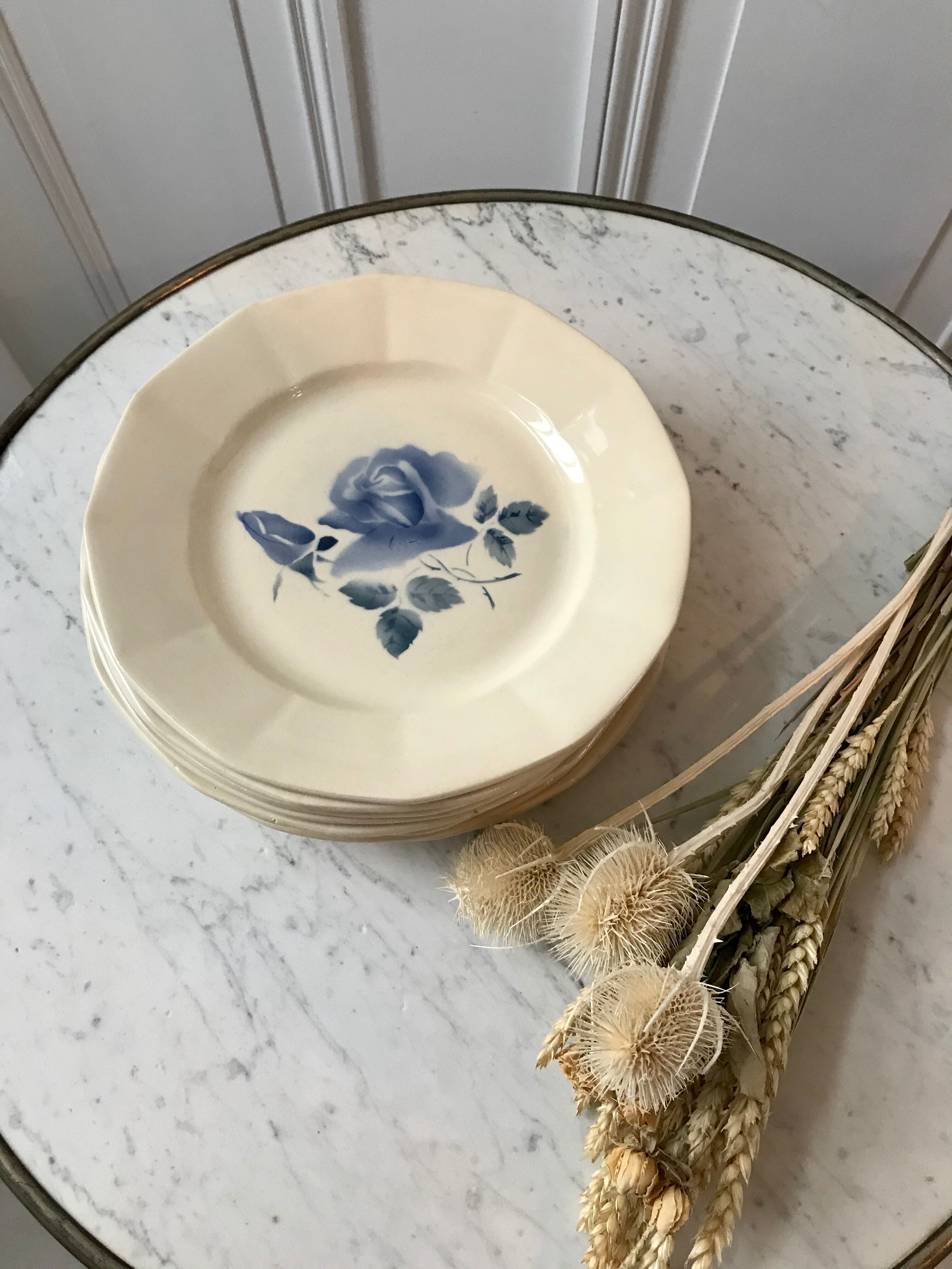 Lot of 10 plates Digoin Sarreguemines flower