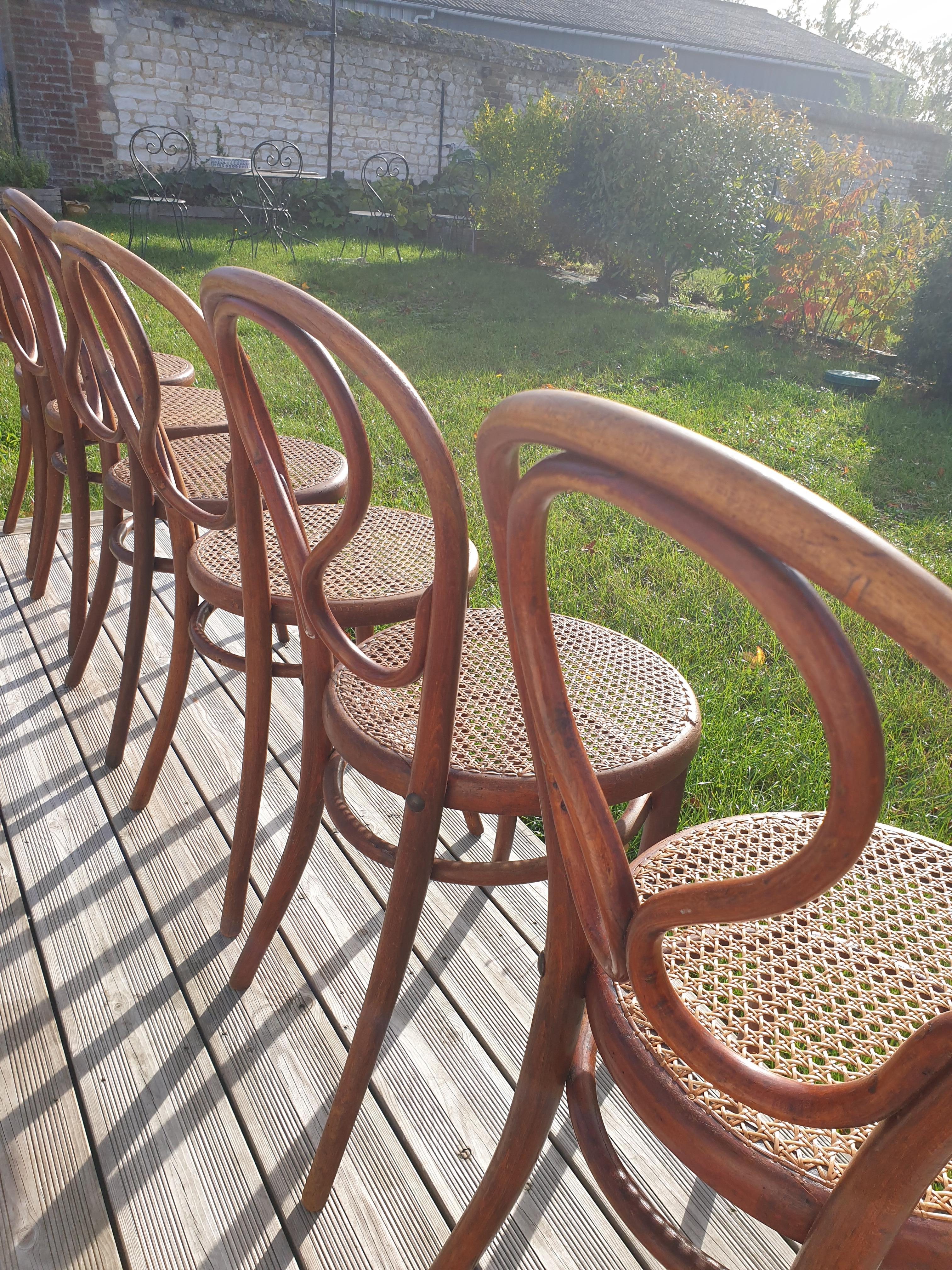 Série de 6 chaises Thonet N°20 Omega