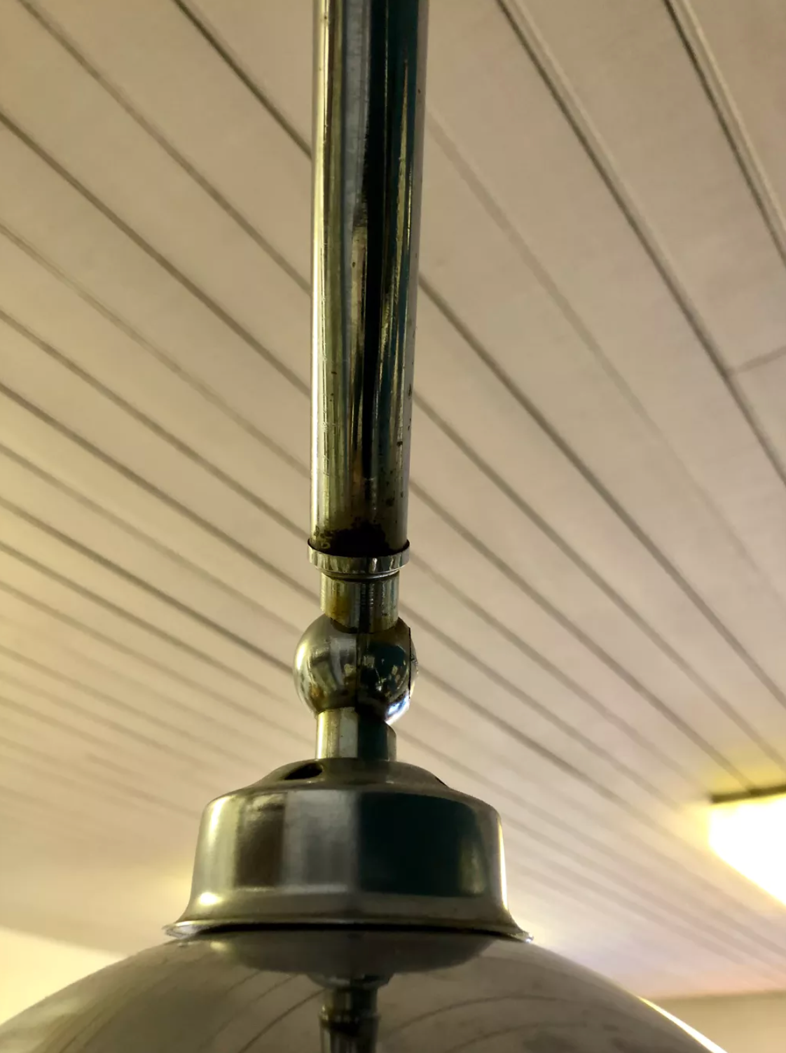 Thrush floor lamp Goffredo Reggiani