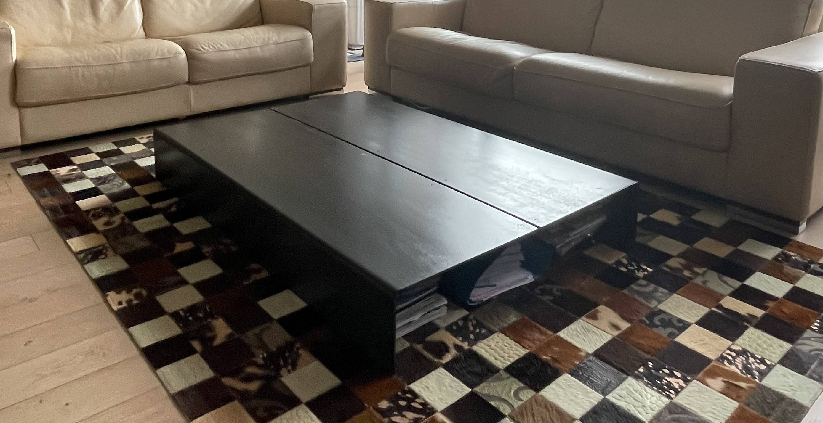 Design steel coffee table (contemporary style)