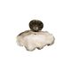 Antique French holy water holder with shell, late 1800s