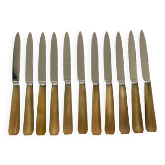 Set of 11 small knives L20cm
