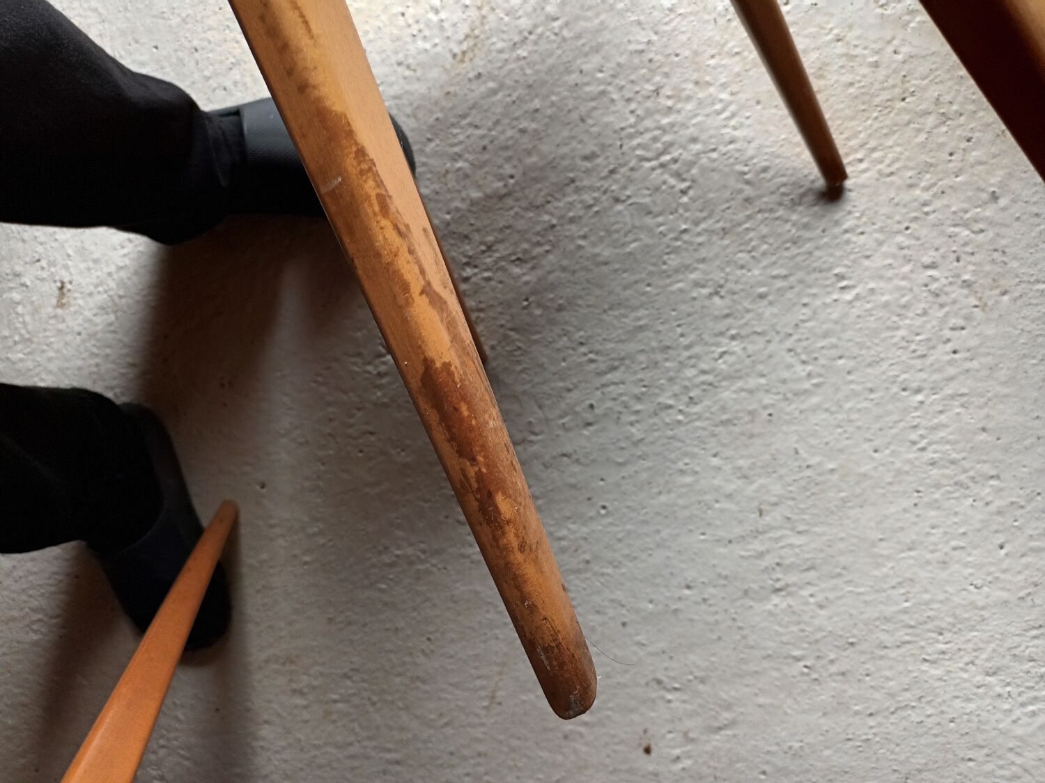 Antelope Chairs Stella Luterma