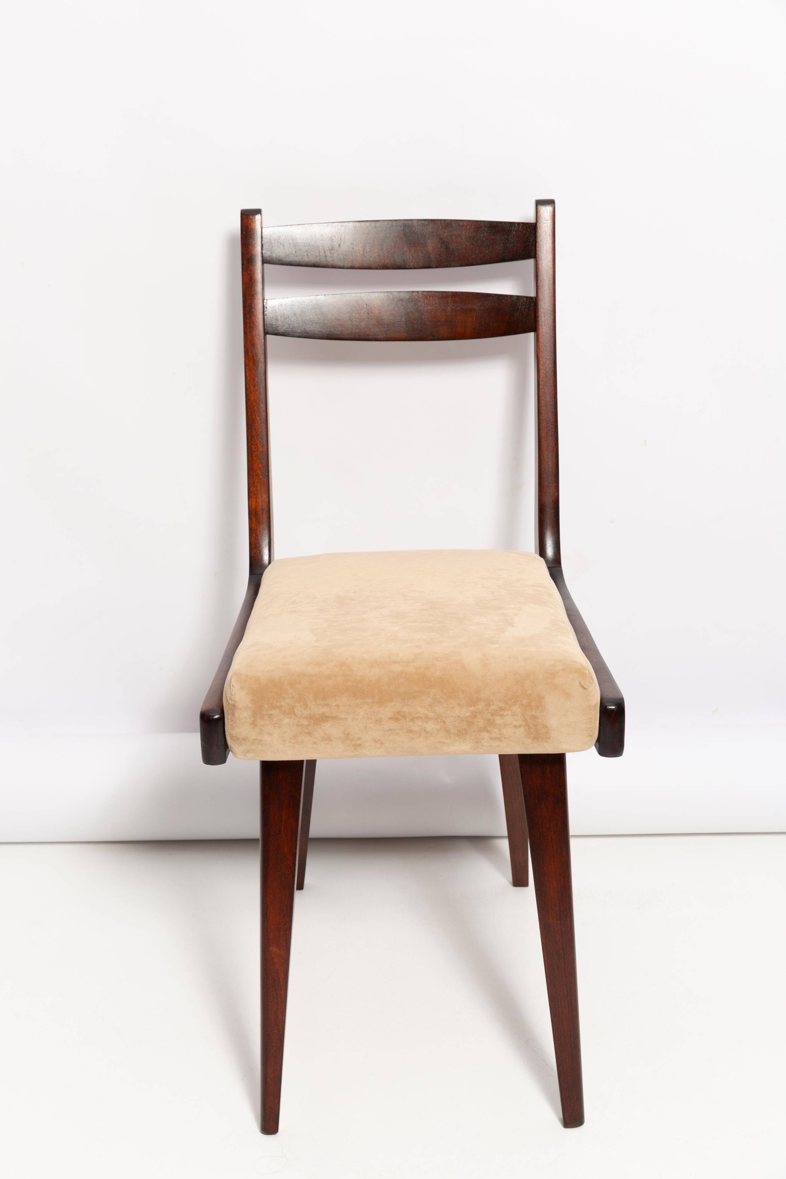 Chaise Mid Century Gazelle II en Velours Beige et Bois de Hêtre, Europe, 1960s