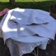 Hemp farm tablecloth